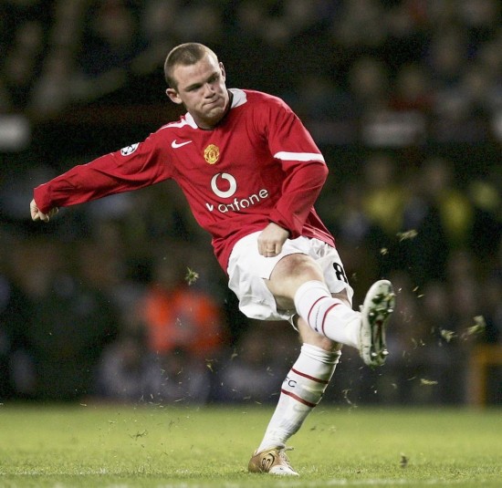 可能会为杨 可能会为杨